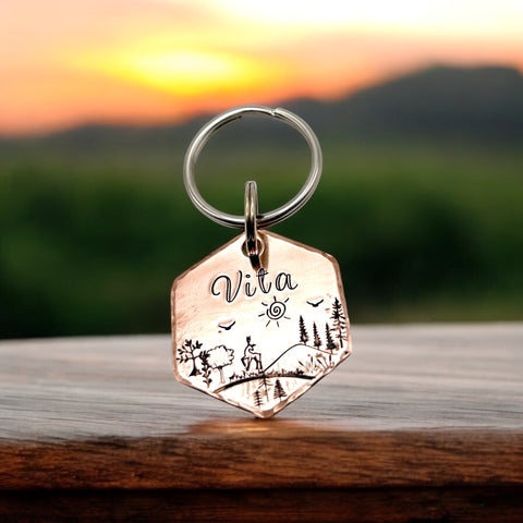 Médaille D'Identité pour Chien en Cuivre, Médaille Personnalisée Hexagonale