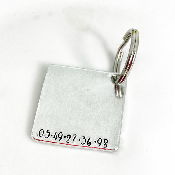 Médaillon d'identité Chien, Médaille Chien Montagnes et Forêt, Gravé avec Nom et Numéro