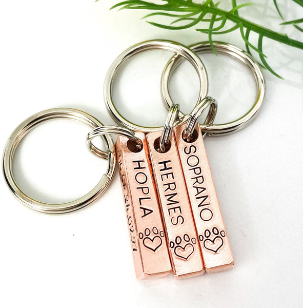 Médaille d'Identité Chien - Barre d'identification pour Chien - Médaille Personnalisée pour Chien