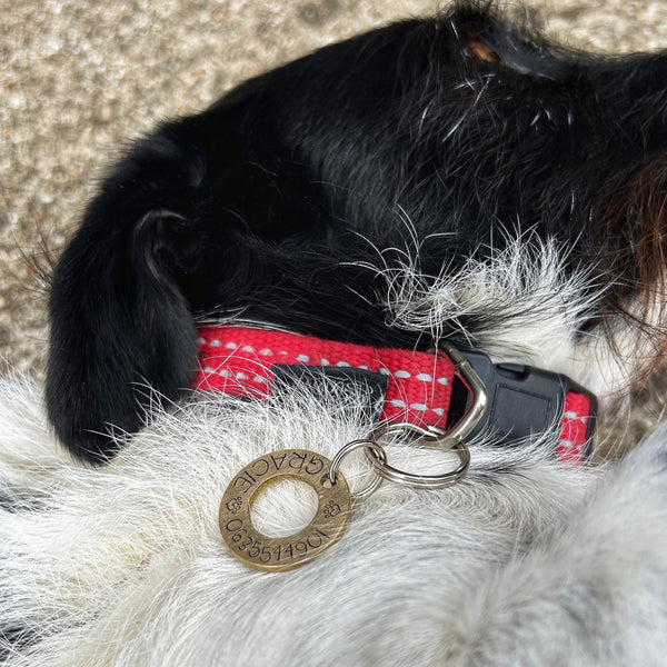 Custom Brass Dog Identity Disc - Brass Washer Pet Tag