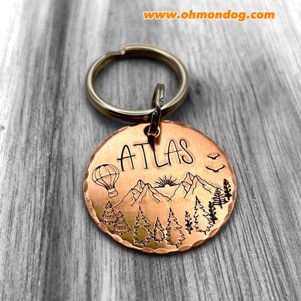 Médaille en Cuivre pour Chien, Médaillon d'identité Chien, Médaille faite en France