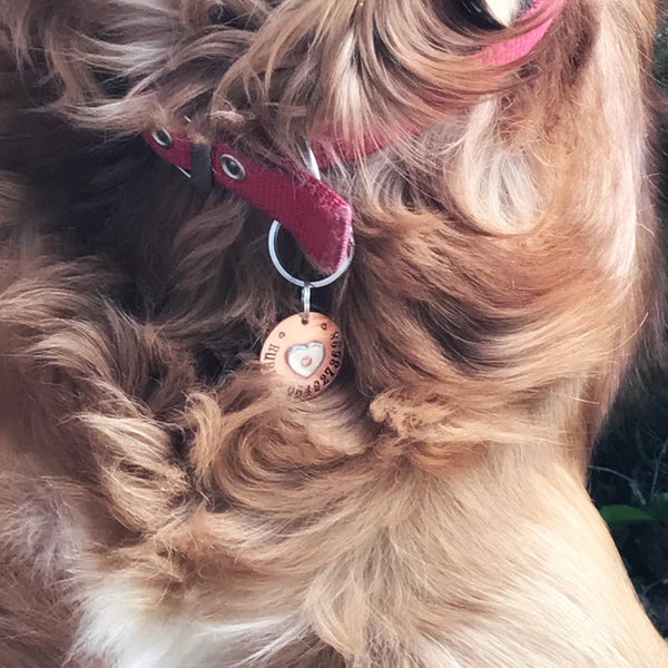 Médaille de Chien en Cuivre, Médaillon de Chien Personnalisé